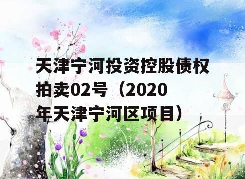 天津宁河投资控股债权拍卖02号（2020年天津宁河区项目）