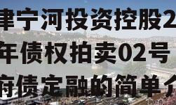 天津宁河投资控股2023年债权拍卖02号政府债定融的简单介绍