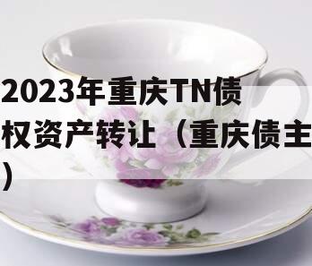 2023年重庆TN债权资产转让（重庆债主）