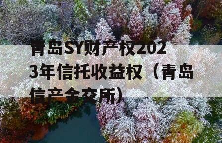青岛SY财产权2023年信托收益权（青岛信产金交所）