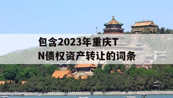 包含2023年重庆TN债权资产转让的词条