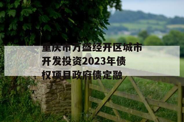 重庆市万盛经开区城市开发投资2023年债权项目政府债定融