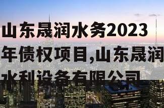 山东晟润水务2023年债权项目,山东晟润水利设备有限公司