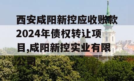 西安咸阳新控应收账款2024年债权转让项目,咸阳新控实业有限公司